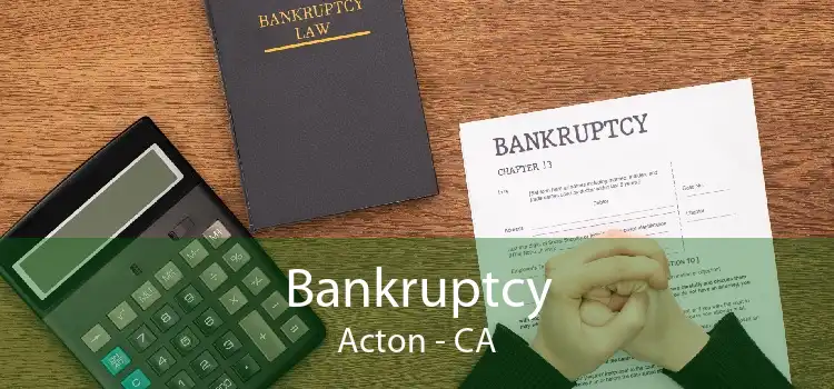 Bankruptcy Acton - CA