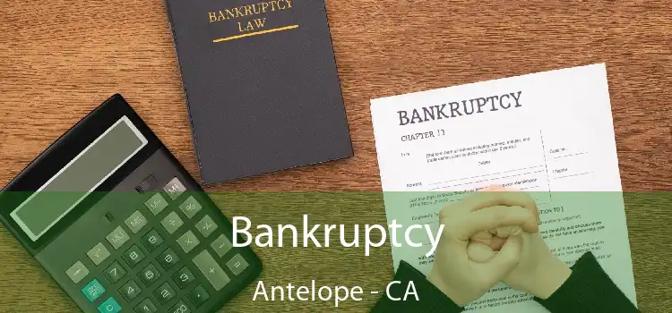 Bankruptcy Antelope - CA