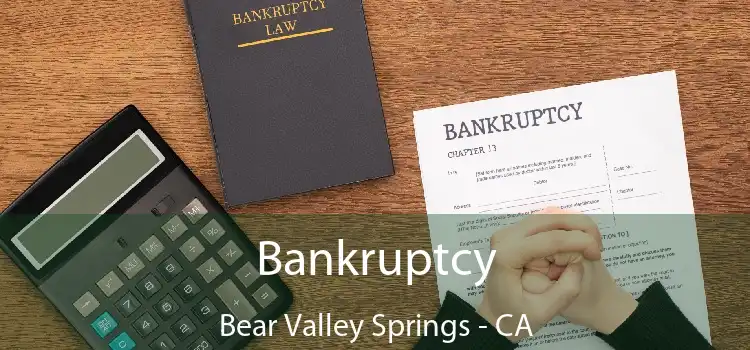 Bankruptcy Bear Valley Springs - CA