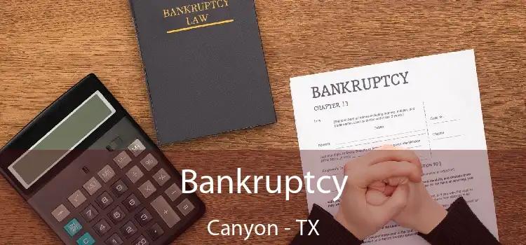 Bankruptcy Canyon - TX