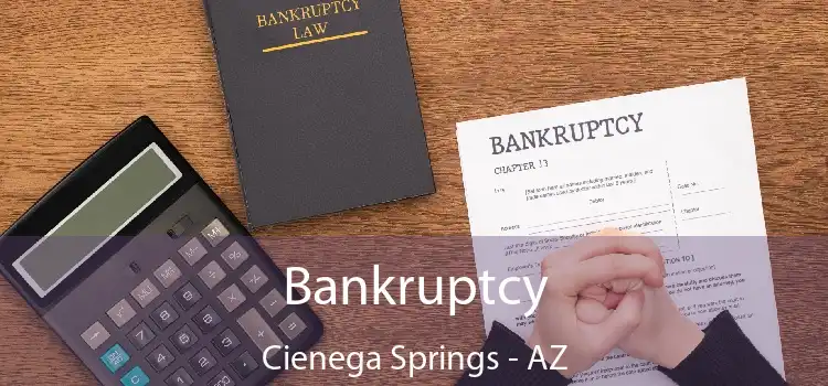 Bankruptcy Cienega Springs - AZ