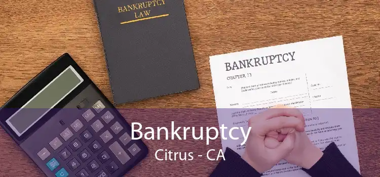 Bankruptcy Citrus - CA