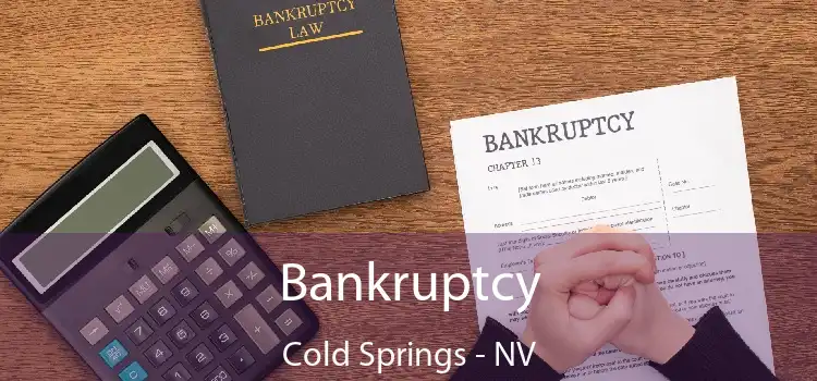 Bankruptcy Cold Springs - NV