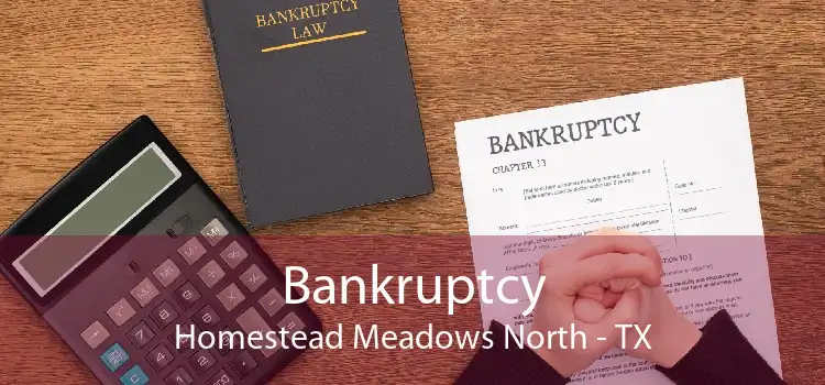 Bankruptcy Homestead Meadows North - TX