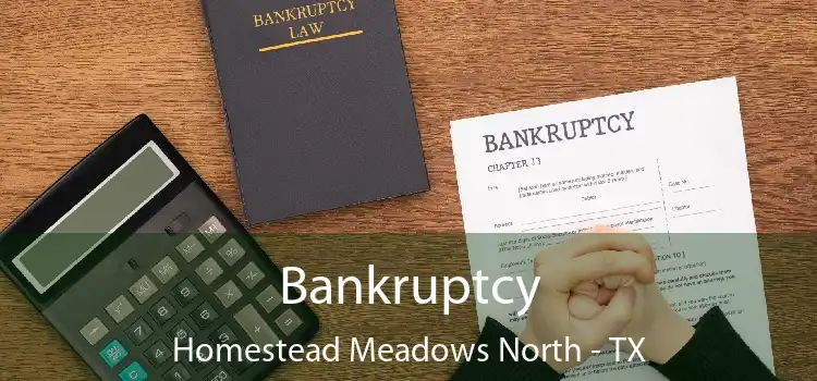 Bankruptcy Homestead Meadows North - TX