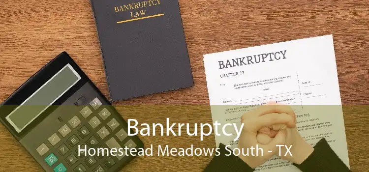 Bankruptcy Homestead Meadows South - TX