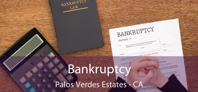 Bankruptcy Palos Verdes Estates - CA