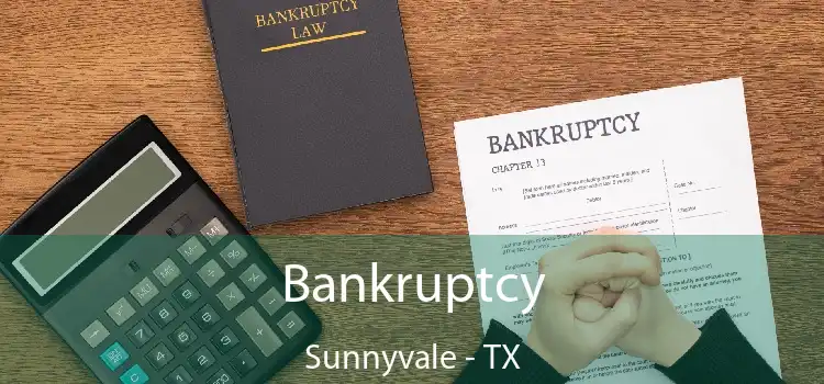 Bankruptcy Sunnyvale - TX