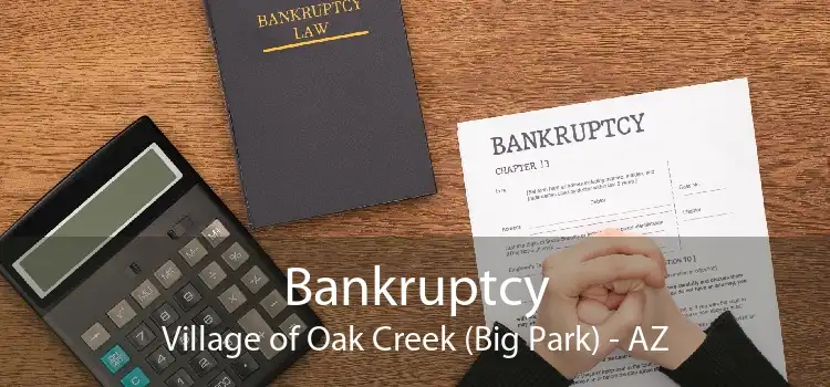 Bankruptcy Village of Oak Creek (Big Park) - AZ