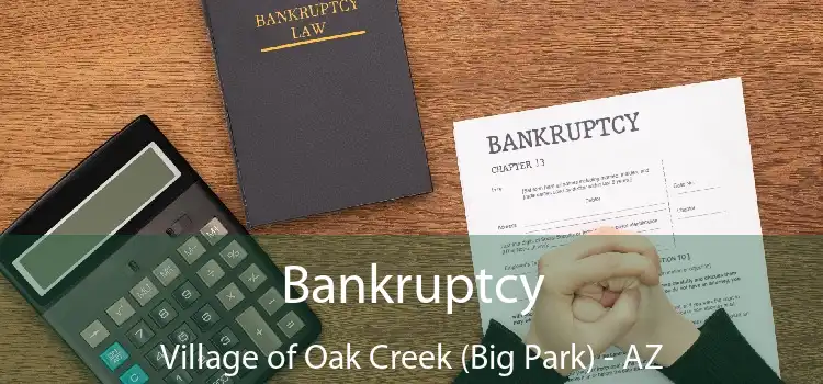 Bankruptcy Village of Oak Creek (Big Park) - AZ