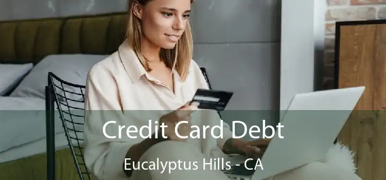 Credit Card Debt Eucalyptus Hills - CA