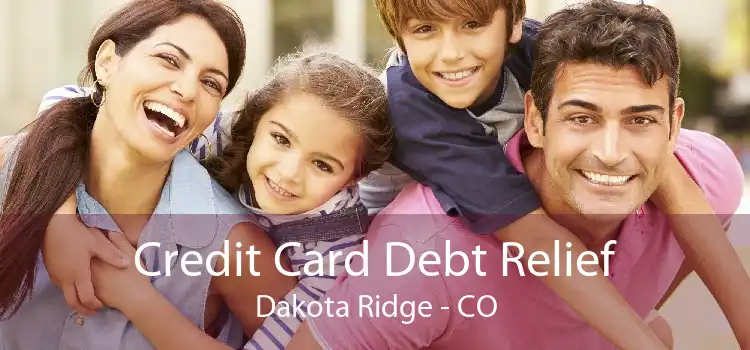Credit Card Debt Relief Dakota Ridge - CO