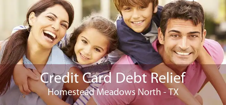 Credit Card Debt Relief Homestead Meadows North - TX