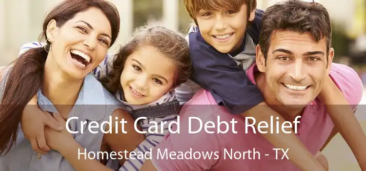 Credit Card Debt Relief Homestead Meadows North - TX