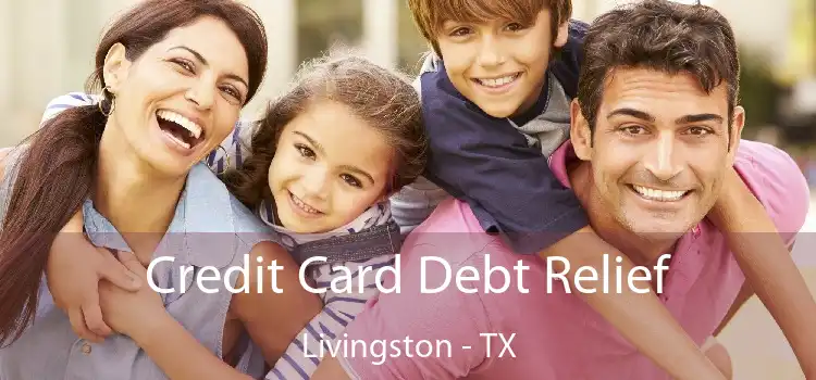 Credit Card Debt Relief Livingston - TX