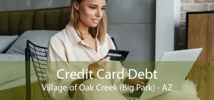 Credit Card Debt Village of Oak Creek (Big Park) - AZ