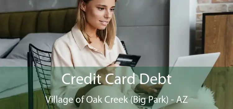 Credit Card Debt Village of Oak Creek (Big Park) - AZ