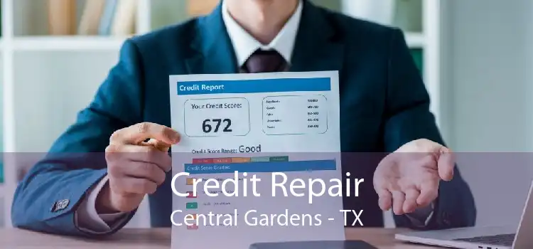Credit Repair Central Gardens - TX