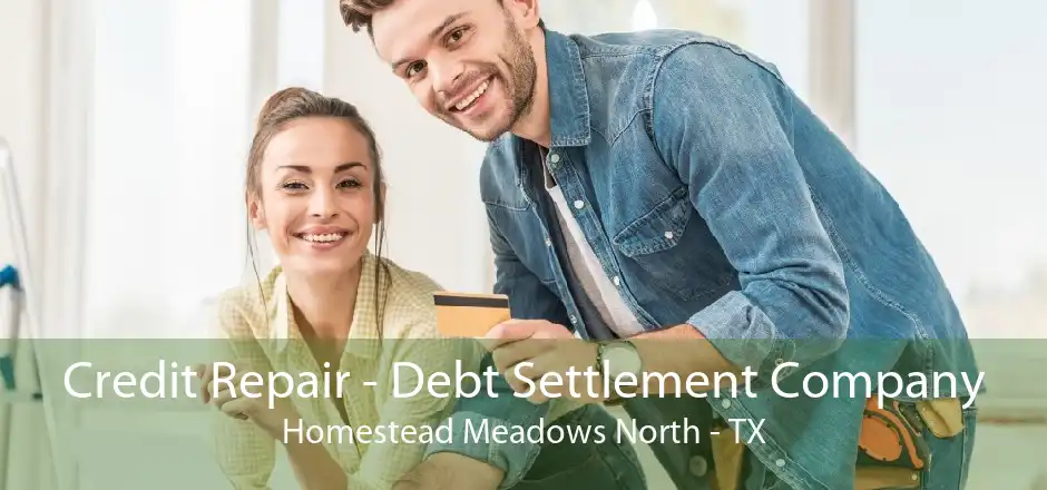 Credit Repair - Debt Settlement Company Homestead Meadows North - TX