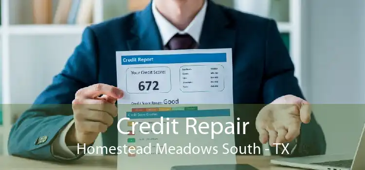 Credit Repair Homestead Meadows South - TX