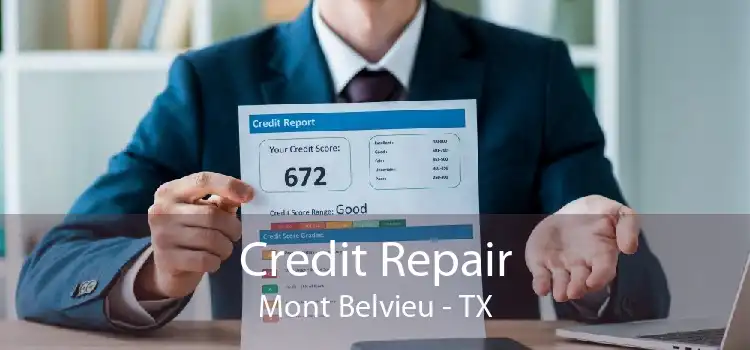 Credit Repair Mont Belvieu - TX