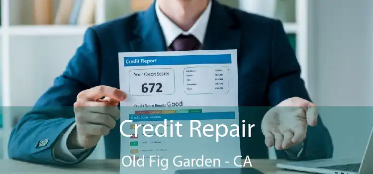 Credit Repair Old Fig Garden - CA