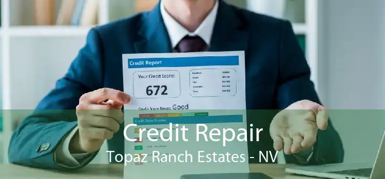 Credit Repair Topaz Ranch Estates - NV