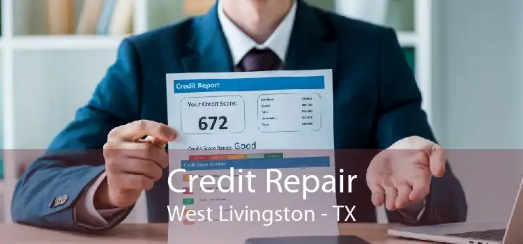 Credit Repair West Livingston - TX
