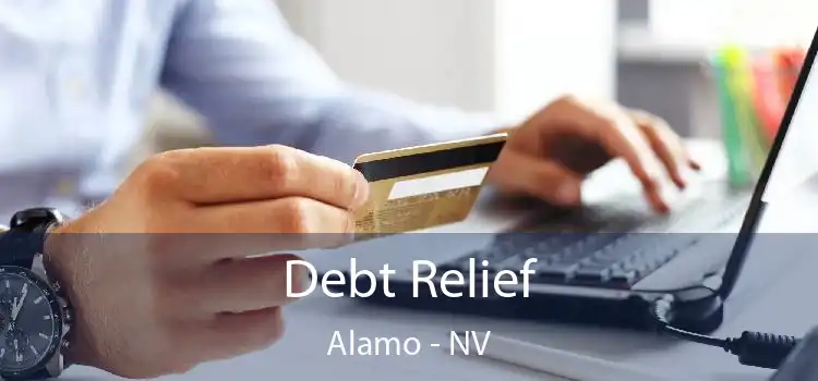 Debt Relief Alamo - NV