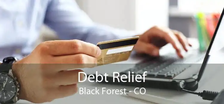 Debt Relief Black Forest - CO