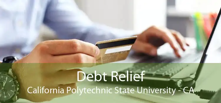 Debt Relief California Polytechnic State University - CA