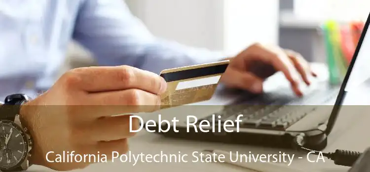 Debt Relief California Polytechnic State University - CA