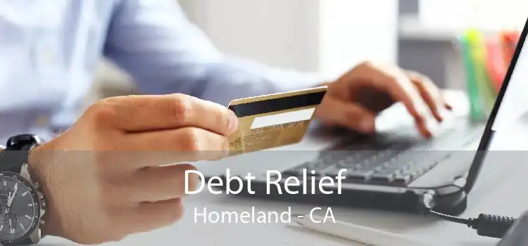 Debt Relief Homeland - CA