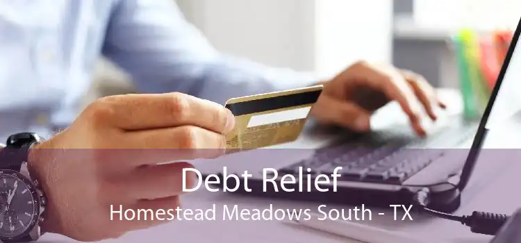 Debt Relief Homestead Meadows South - TX