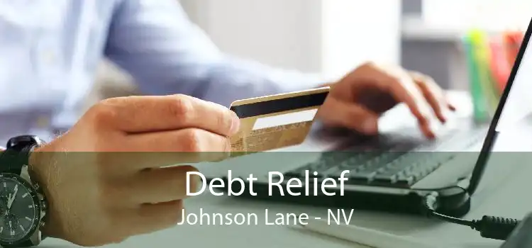 Debt Relief Johnson Lane - NV