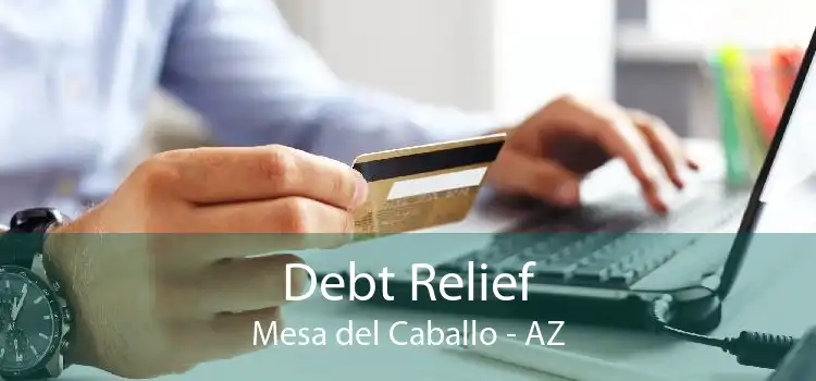 Debt Relief Mesa del Caballo - AZ
