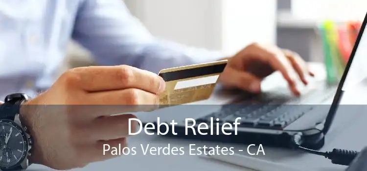 Debt Relief Palos Verdes Estates - CA