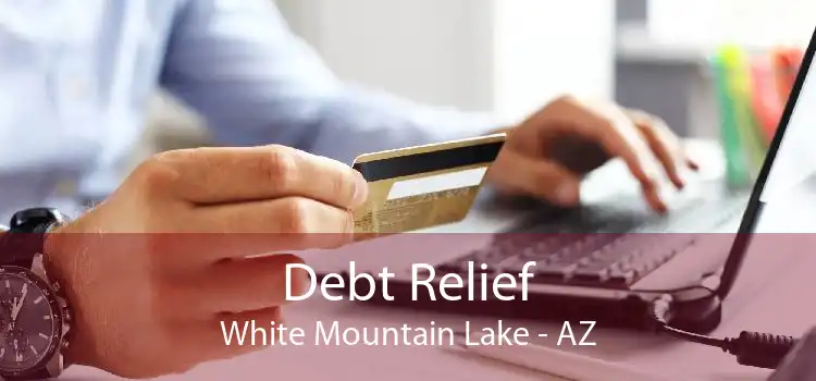 Debt Relief White Mountain Lake - AZ