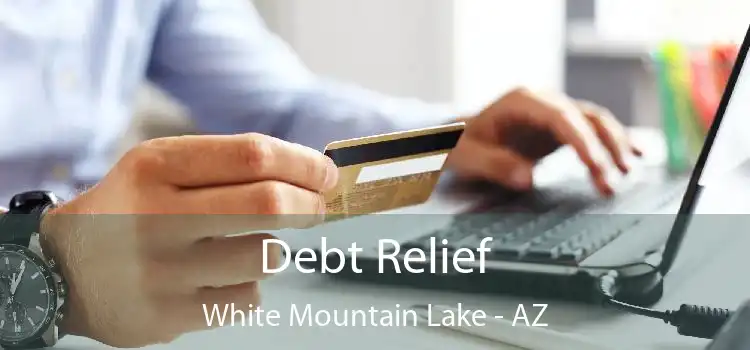 Debt Relief White Mountain Lake - AZ