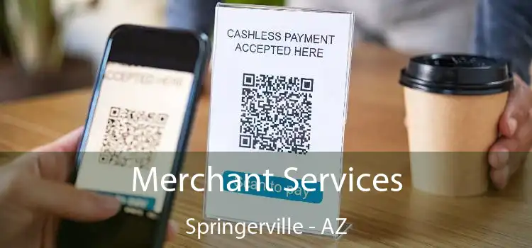 Merchant Services Springerville - AZ